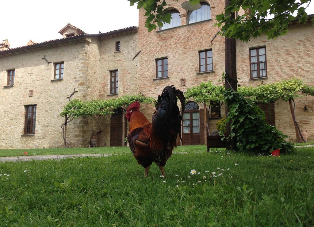 Hotel Residenza D'Epoca Il Biribino à Città di Castello Extérieur photo
